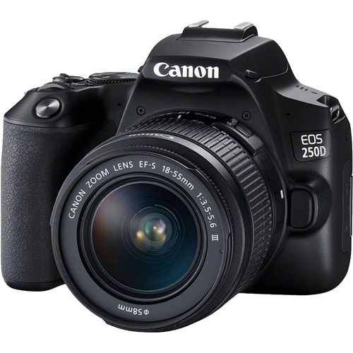 Canon EOS 250D DSLR Camera With EF-S 18-55mm F/3.5-5.6 III Lens