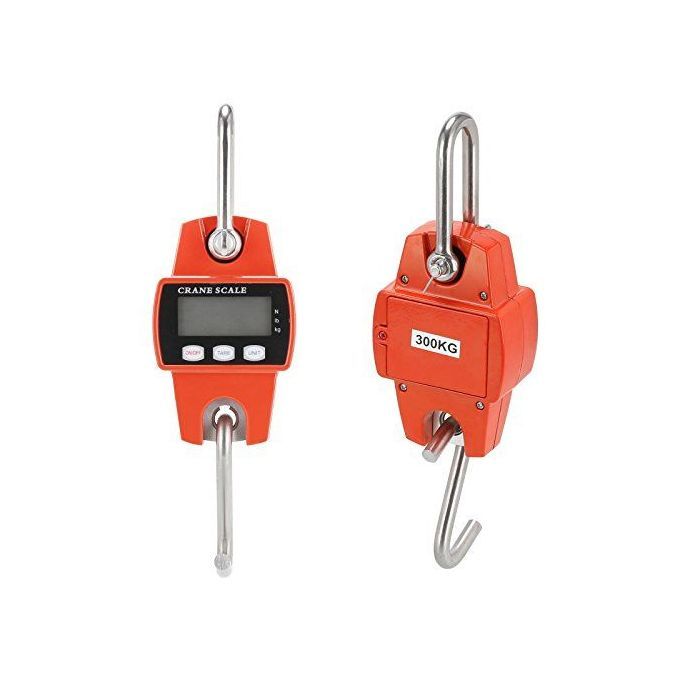 300KGS Industrial Crane Digital Weighing Scale