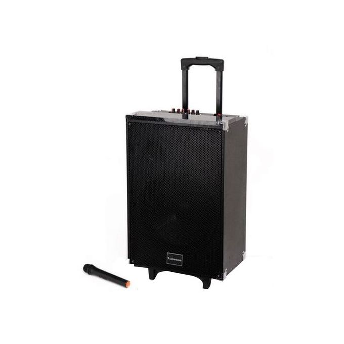 TAGWOOD 12" Outdoor Speaker, Bluetooth, Microphone, Battery