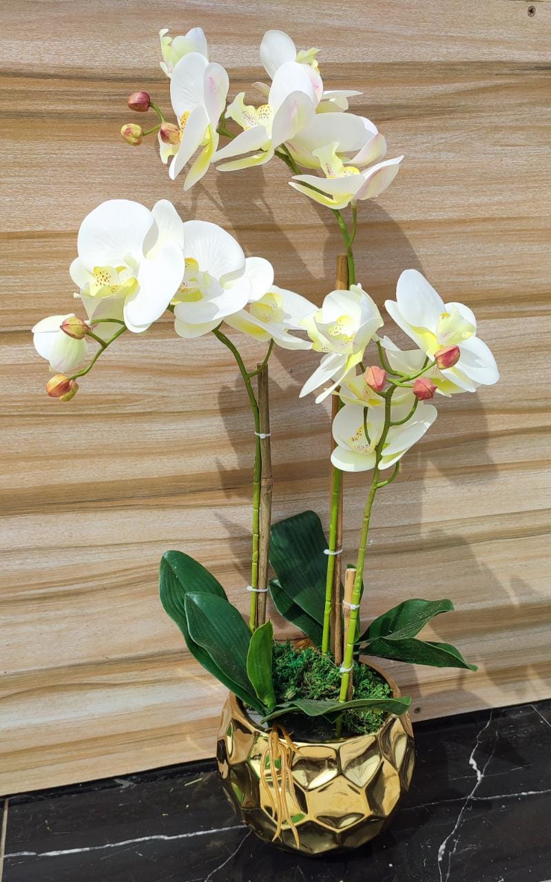 Luxurious flower vase with orchid flowers