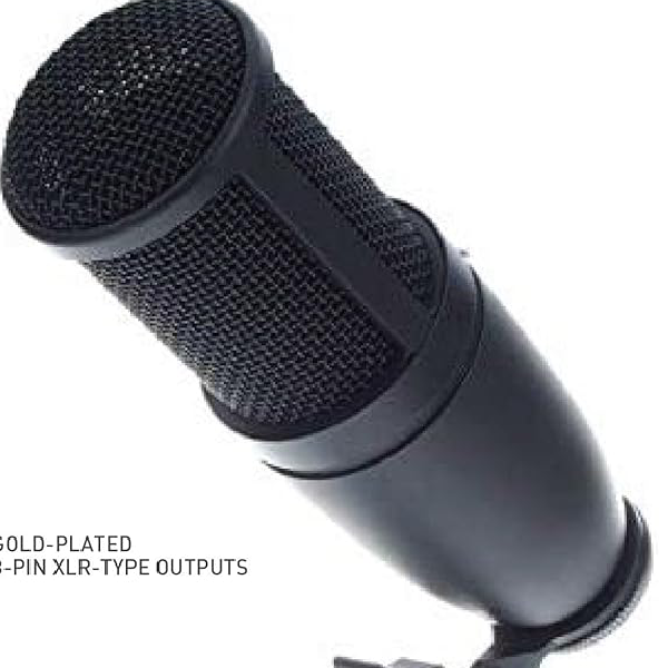 AKG P120 Cardioid Condenser Microphone | Professional Studio Recording Mic - Image 2
