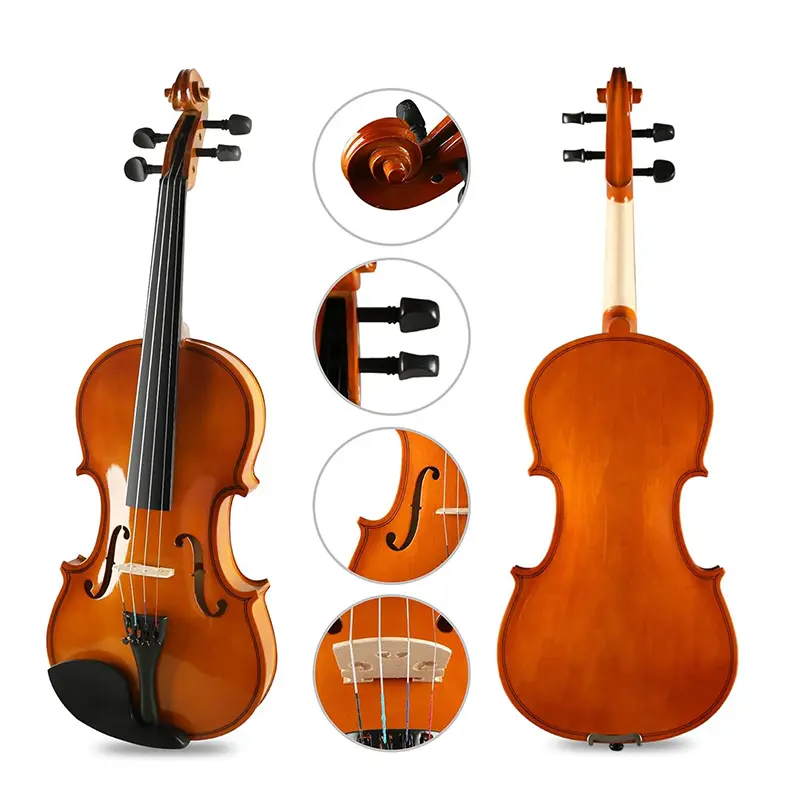 plywood gloss color violon student violin 4/4